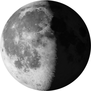 తగ్గుతున్న గిబ్బస్